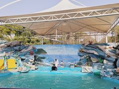 -上海野生动物园