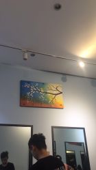 -MYCOLORHARSALON