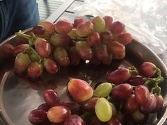 -金谷域澳洲庄园