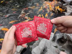-下海庙