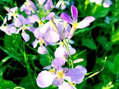 -周口店北京人遗址公园