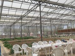 -甜心庄园·甜心草莓采摘园(西青中北店)