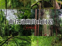 -红峡谷