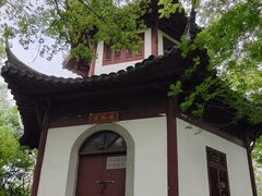 -上海佘山国家森林公园天马山园