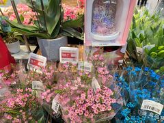 -盒马鲜生(和谐广场店)