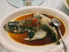 清蒸老虎斑-金米箩大酒店(五角场店)