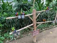 -南宫五洲植物乐园