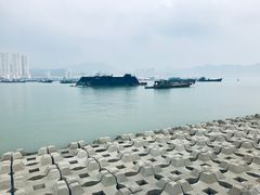 -野狸岛