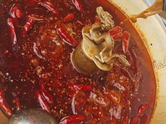 -小龙翻大江文化火锅(宽窄店)