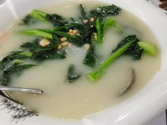 上汤菜心-石岐乳鸽村(桥观坊南四巷店)