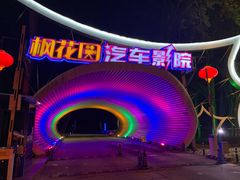 -枫花园汽车电影院(朝阳公园店)