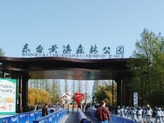 -黄海国家森林公园