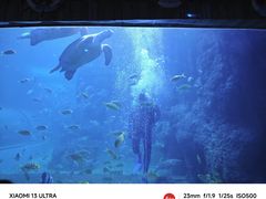 -左海海底世界