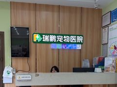 -瑞鹏宠物医院·夜间急症·心超·猫科(祖庙分店)