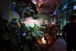 -恐龙探索乐园(磁器口店)