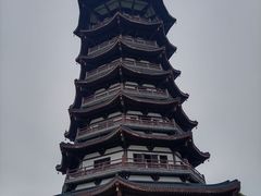 -洋湖国家湿地公园