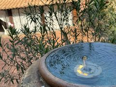 -东湖177艺术餐厅·东坡院子