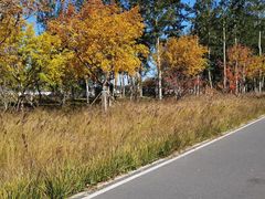 -坝河休闲公园