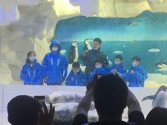 -华夏文旅海洋公园