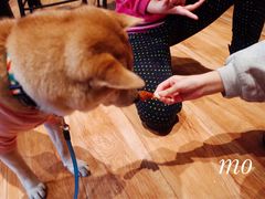 -ZING COFFEE 镜咖啡