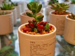-MUJI无印良品(大悦城店)