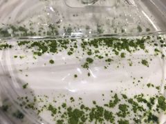 -お茶本部。珍珠奶茶专卖店