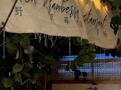 -野草莓自由市场