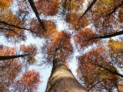 -华南国家植物园-售票处