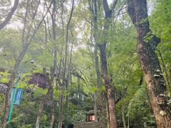 -宁波市保国寺古建筑博物馆