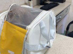 -动物缘宠物医院·骨科·猫科(西二环店)