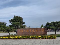 -江苏三台山国家森林公园