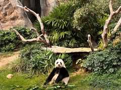 -香港海洋公园