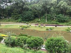 -东莞植物园
