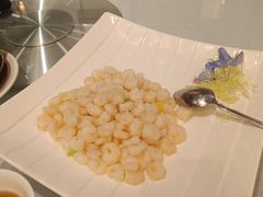 -新雅粤菜馆(南京东路店)