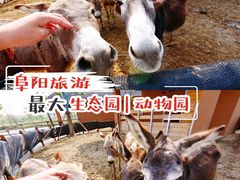 -祥源·阜阳生态乐园