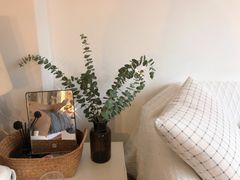 -万商花鸟市场