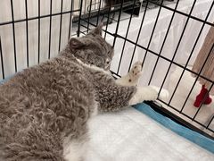 -凯德广场(武胜路店)