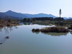 -三垟湿地