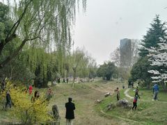 -堤角公园