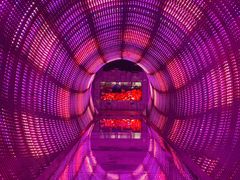 -正佳自然科学博物馆