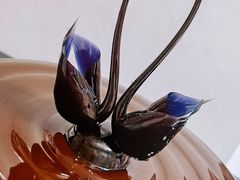 -BLACKSWAN黑天鹅(环球店)