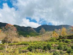 -塔川景区