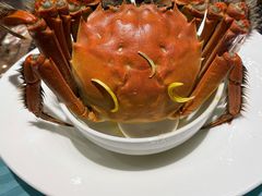 阳澄湖大闸蟹-阳澄湖费尔蒙酒店颐丰阁中餐厅(马鞍山西路店)