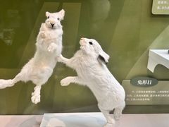 -国家自然博物馆