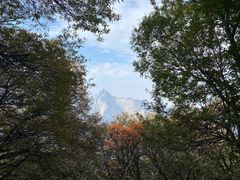 -少华山国家森林公园
