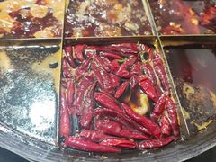-肥龙火锅(南坪店)