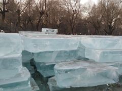 -长春市南湖公园