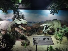 -国家自然博物馆