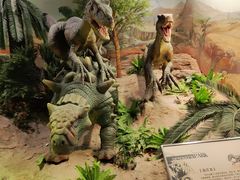 -国家自然博物馆