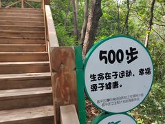-大岭沟猕猴桃谷风景区